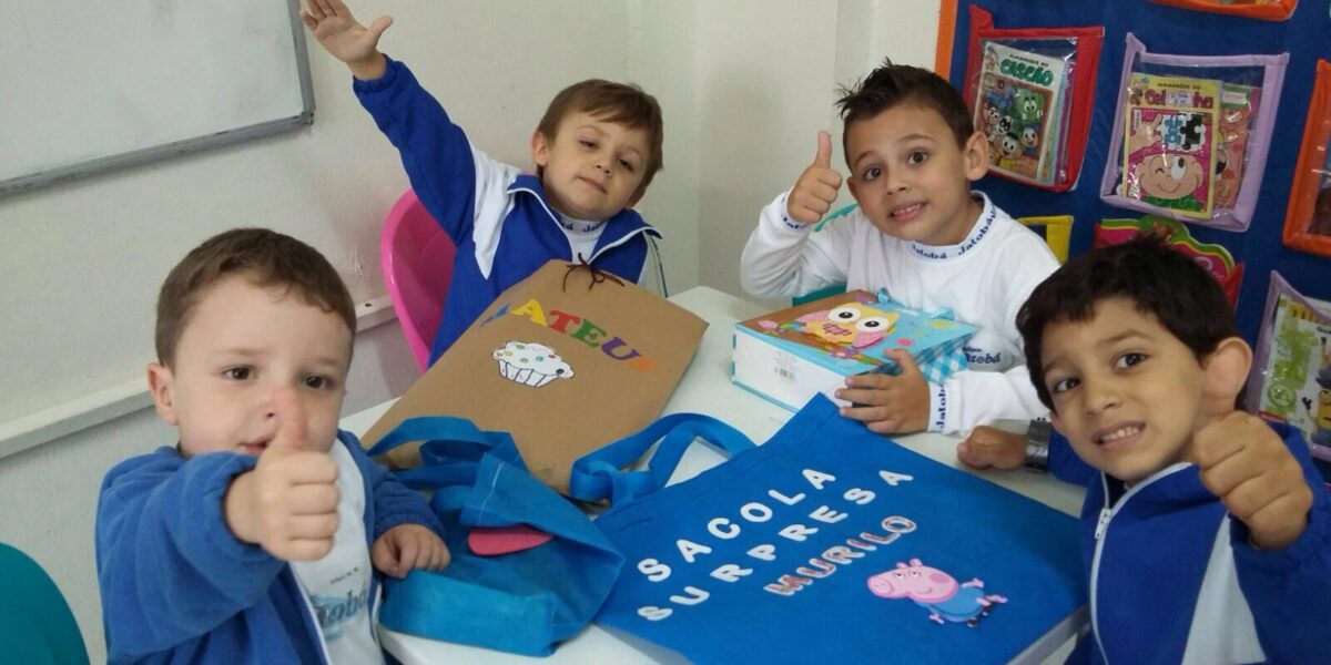 Projeto Sacola Surpresa